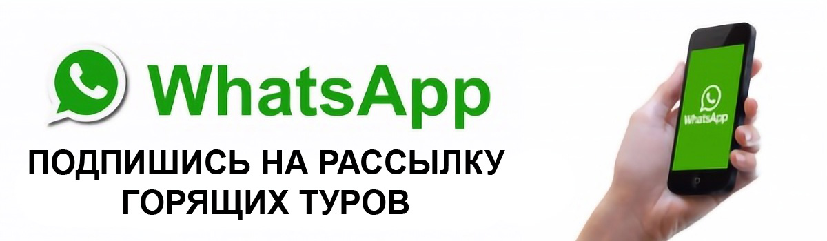 рассылка whatsapp